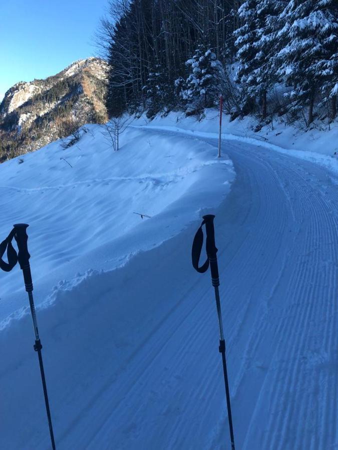 Kreiers Alp Leilighet Hohenems Eksteriør bilde